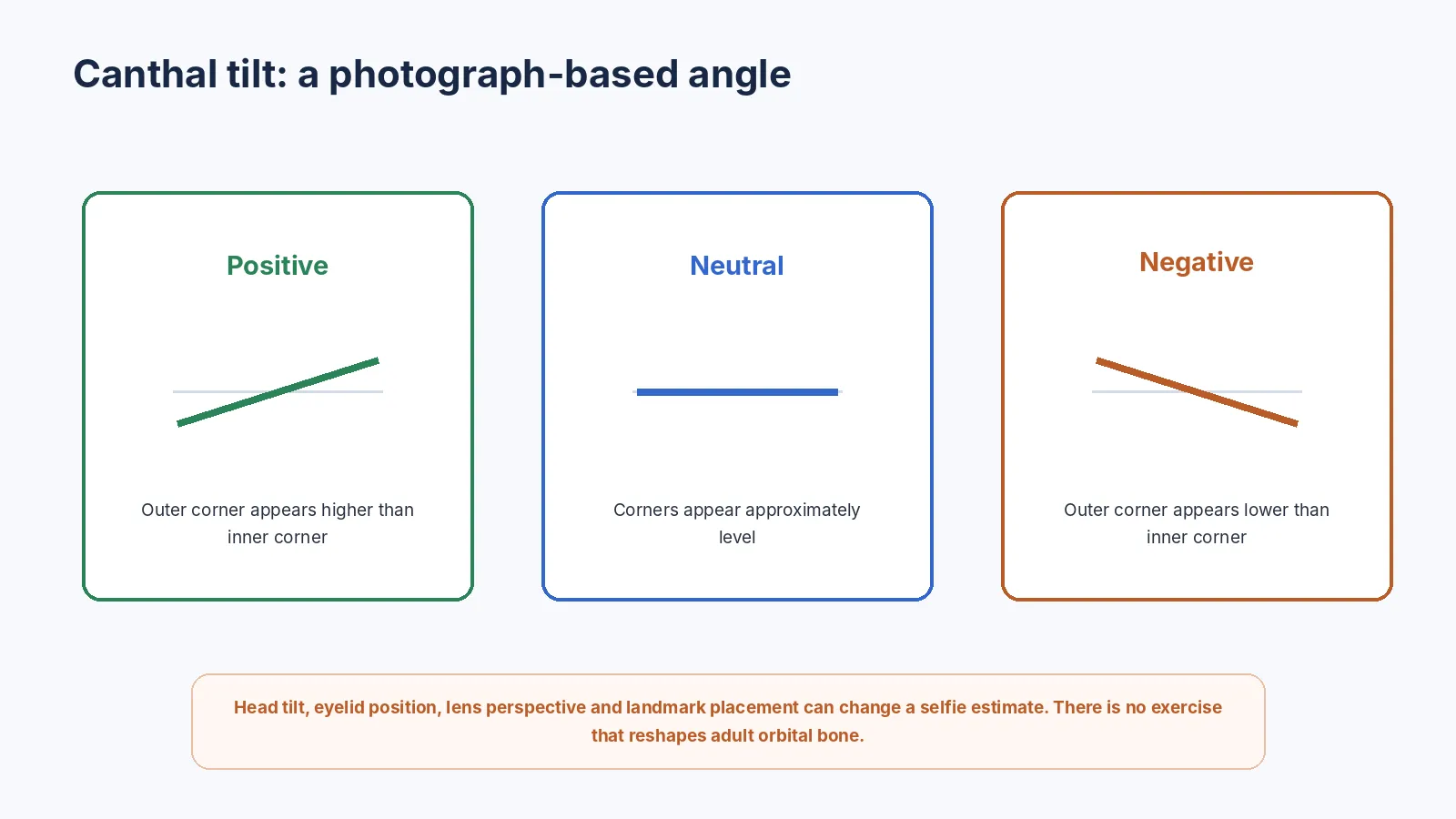 Eye-corner angle comparison showing positive, neutral and negative tilt.